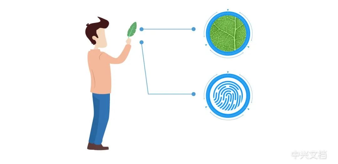 Understanding Mobile Fingerprint Recognition Technology