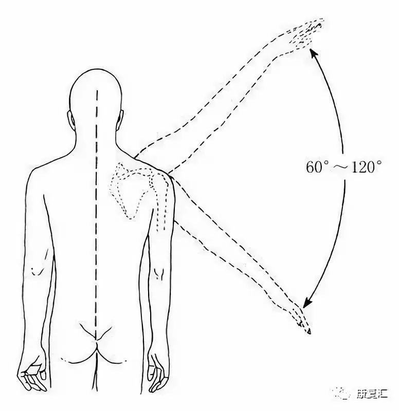 Detailed Guide to Shoulder Joint Physical Examination for Rehabilitation