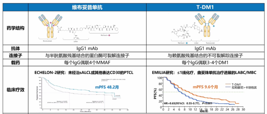 Current Status, Challenges, and Future of ADC Drug Development