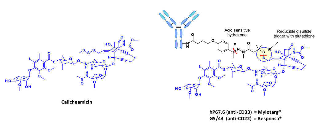 Overview of Antibody-Drug Conjugates (ADCs)