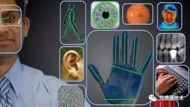 Understanding Biosensors: Applications and Principles