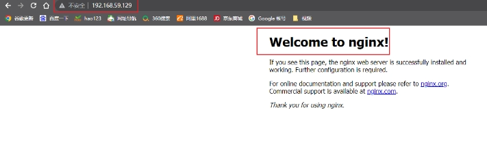 No Public IP Needed! Access Local Sites Anytime with Raspberry Pi and Nginx