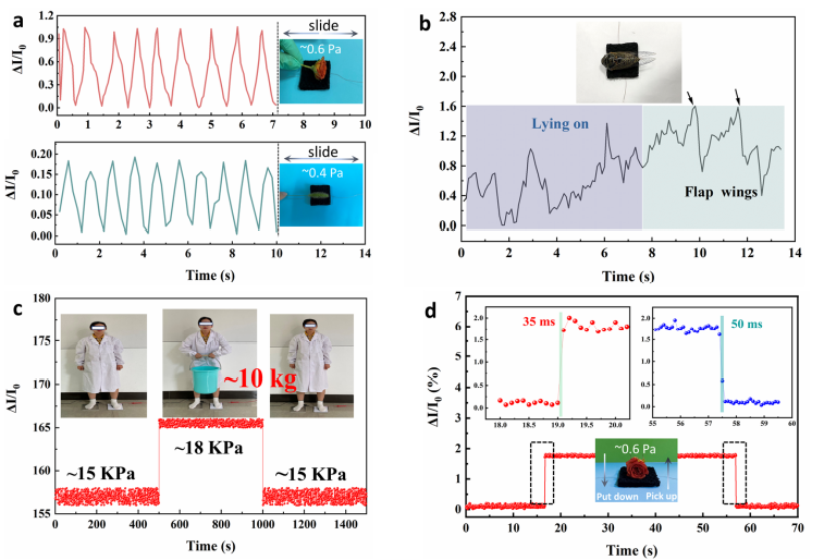Bioinspired Strategies for High-Sensitivity Pressure Sensors