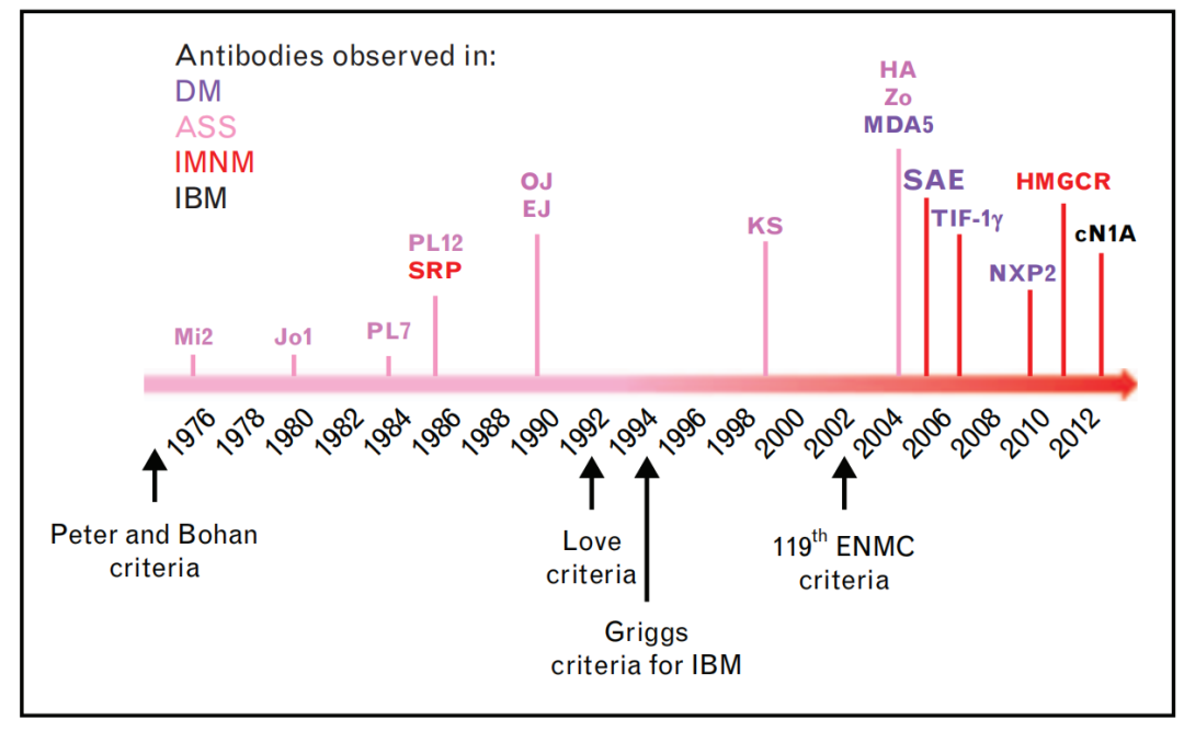 Understanding NXP2 Positive Juvenile Dermatomyositis