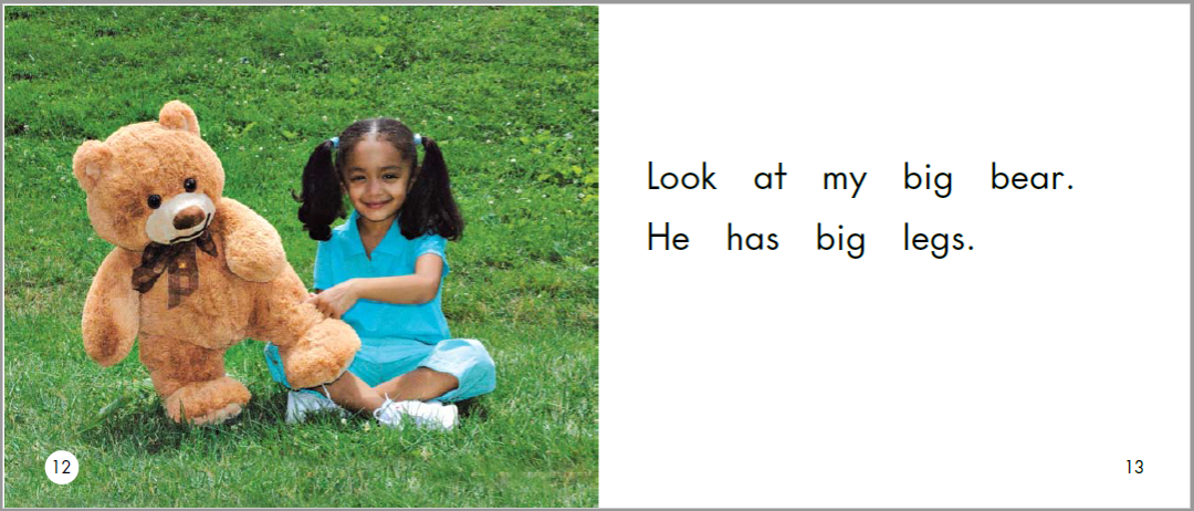 English Picture Book Stories | My Big Bear