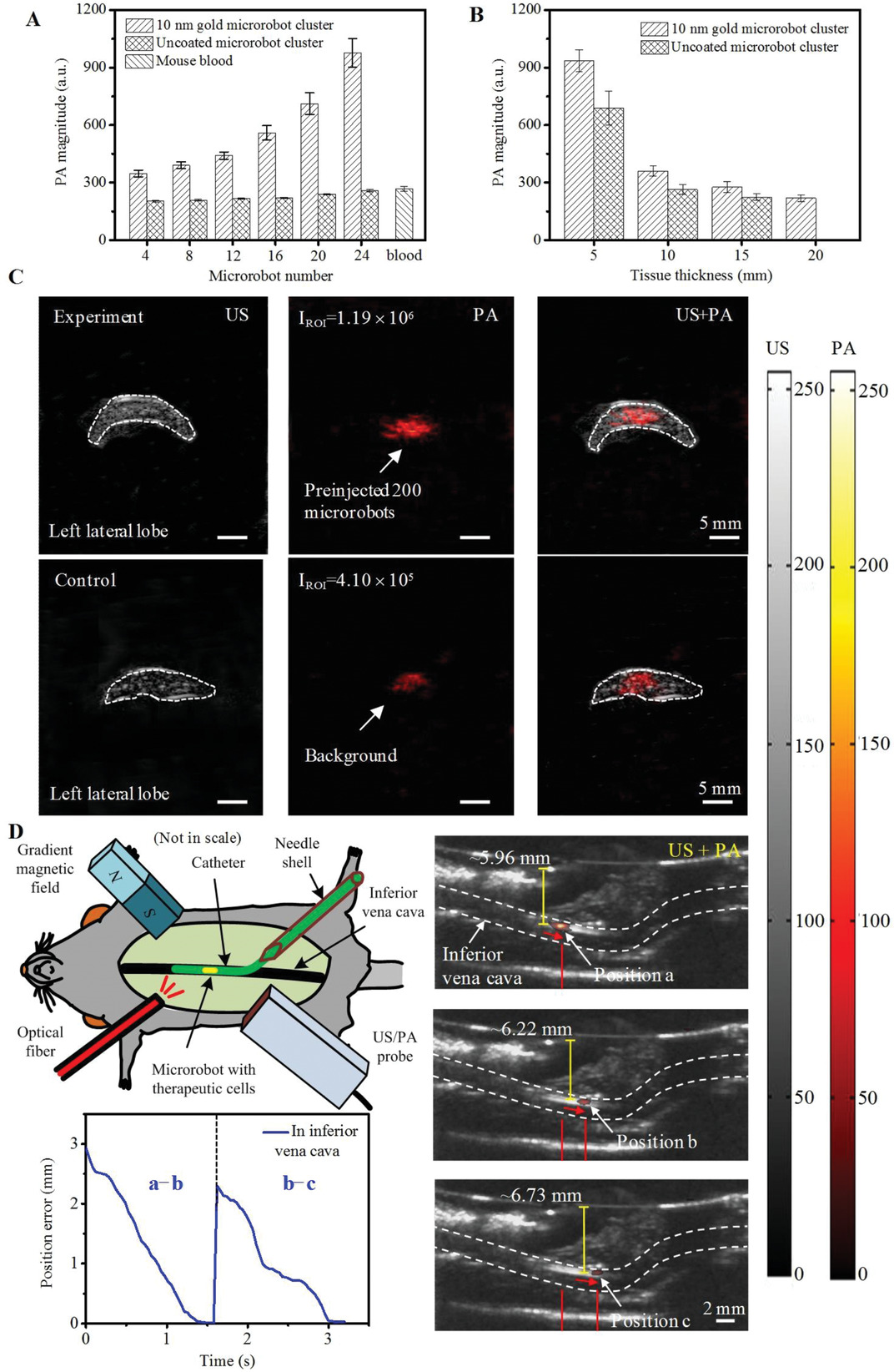 Degradable Microrobots for Targeted Cancer Therapy