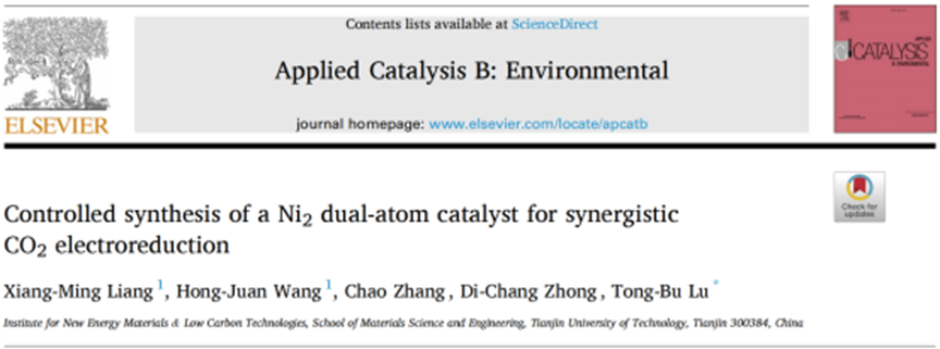 Applications Of DFT Calculations In Dual-Atom Catalysts