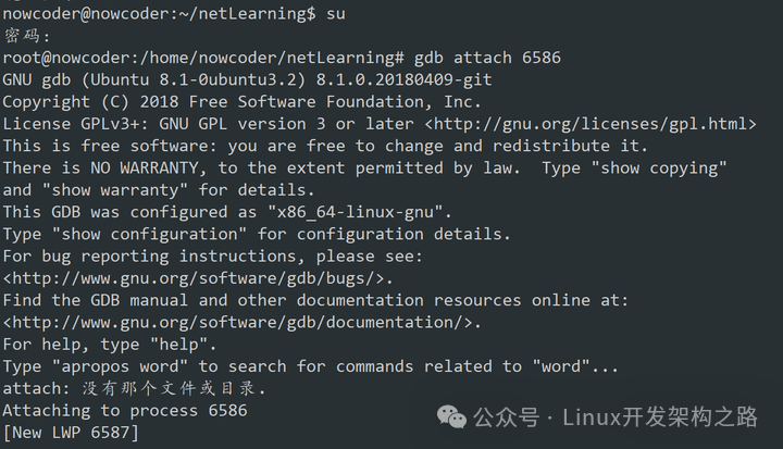 Linux C++ Programming: A Detailed Tutorial on Using Shell + GDB to Diagnose Deadlocks