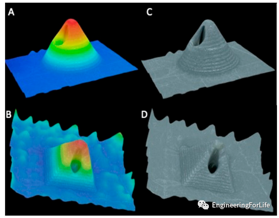 Applications of Projection Photopolymerization in 3D Bioprinting: Microneedles, Microspheres, and Microfluidic Chips