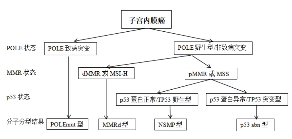 Essential Tests for Endometrial Cancer - POLE Gene Testing