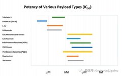 Characteristics and Coupling Methods of ADC Toxins