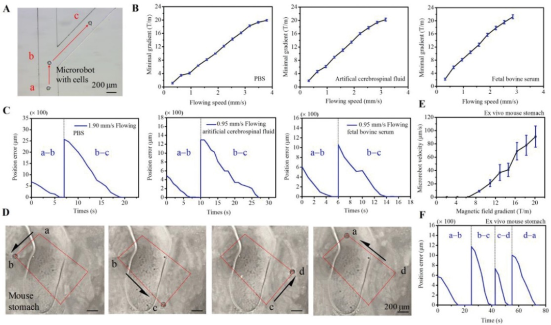Degradable Microrobots for Targeted Cancer Therapy