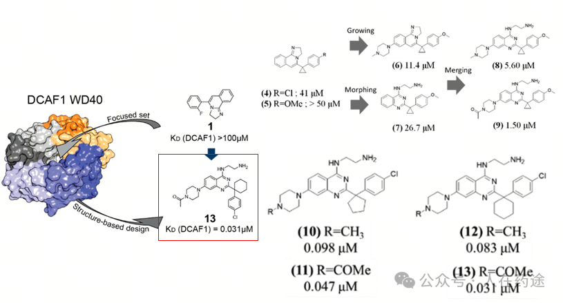 The Future of PROTACs and Molecular Glue: E3 Ligand Development Overview