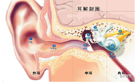 Diagnosis and Treatment of Adenoid Hypertrophy and Complications