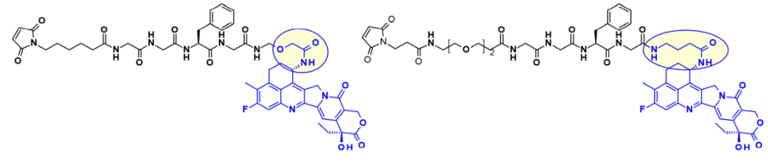 Overview of Antibody-Drug Conjugates (ADCs)