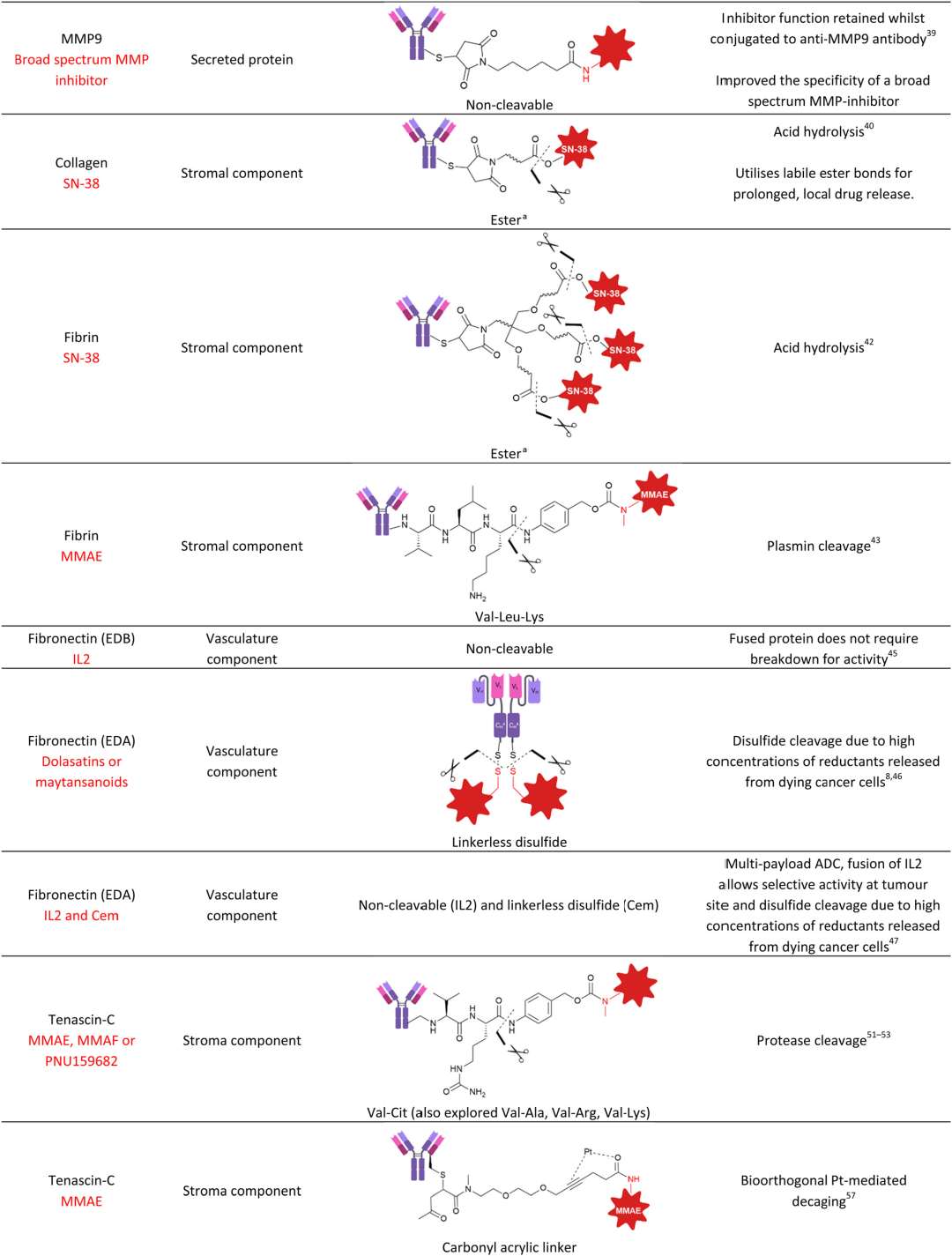 Another Bright Path for ADC Development - Non-Internalizing ADC