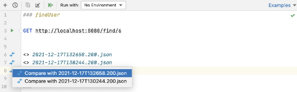 Detailed Guide on GoLand HTTP Client