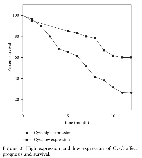 Why Cystatin C Is Highly Regarded? Tips You Should Know