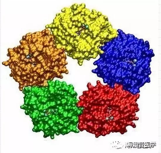 Differences Between C-Reactive Protein and High-Sensitivity C-Reactive Protein