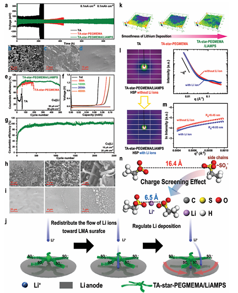 Star-Structured Polymer Electrolyte for Low-Temperature Lithium Batteries