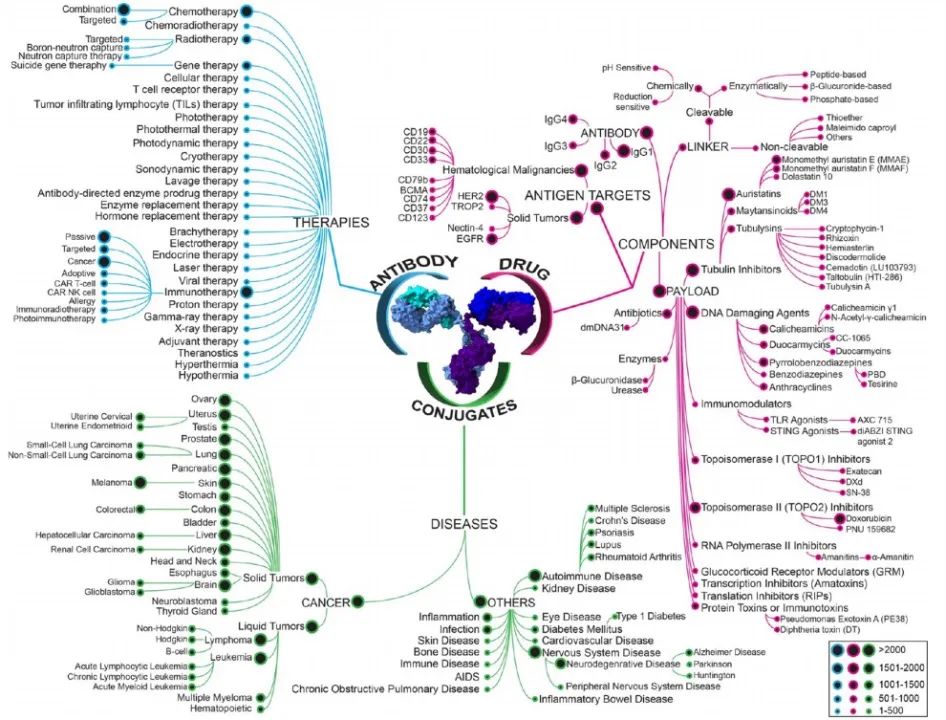 Global Landscape of ADCs from a God’s Eye View