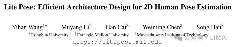 Efficient Pose Estimation Inference with LitePose