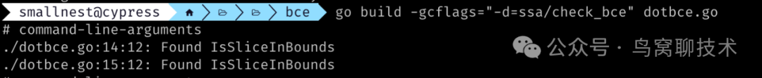 From Slow to SIMD: Discussing Go Bounds Check Elimination