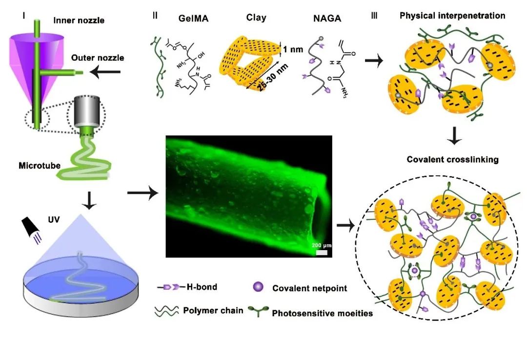 Bioprinting of Vascularized Tissues: A Comprehensive Review