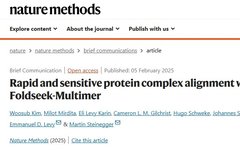 A New Tool for Protein Complex Research: Foldseek-Multimer