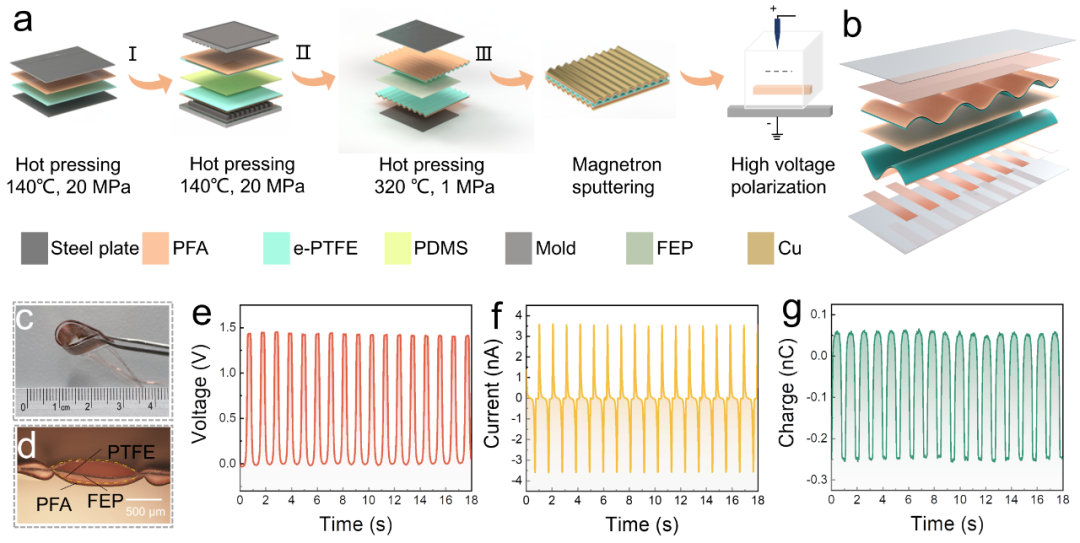 AFM: Breakthrough in Dynamic Pressure Monitoring with Self-Powered Flexible Sensor Arrays