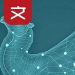 From LoRaWAN to LoRaLAN: A Comprehensive Overview