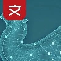From LoRaWAN to LoRaLAN: A Comprehensive Overview
