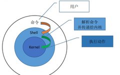 Shell Scripting Basics