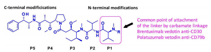 Overview of Antibody-Drug Conjugates (ADCs)