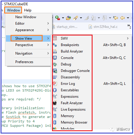 Viewing Variables in STM32CubeIDE