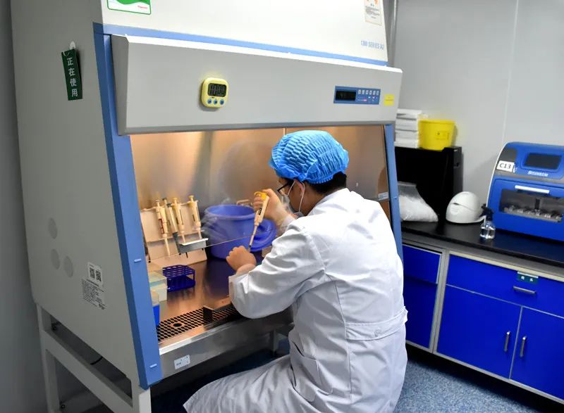 Essential Tests for Endometrial Cancer - POLE Gene Testing