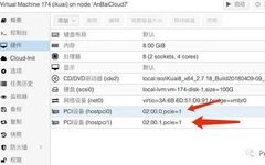 Configuring Physical NIC Passthrough in Proxmox VE