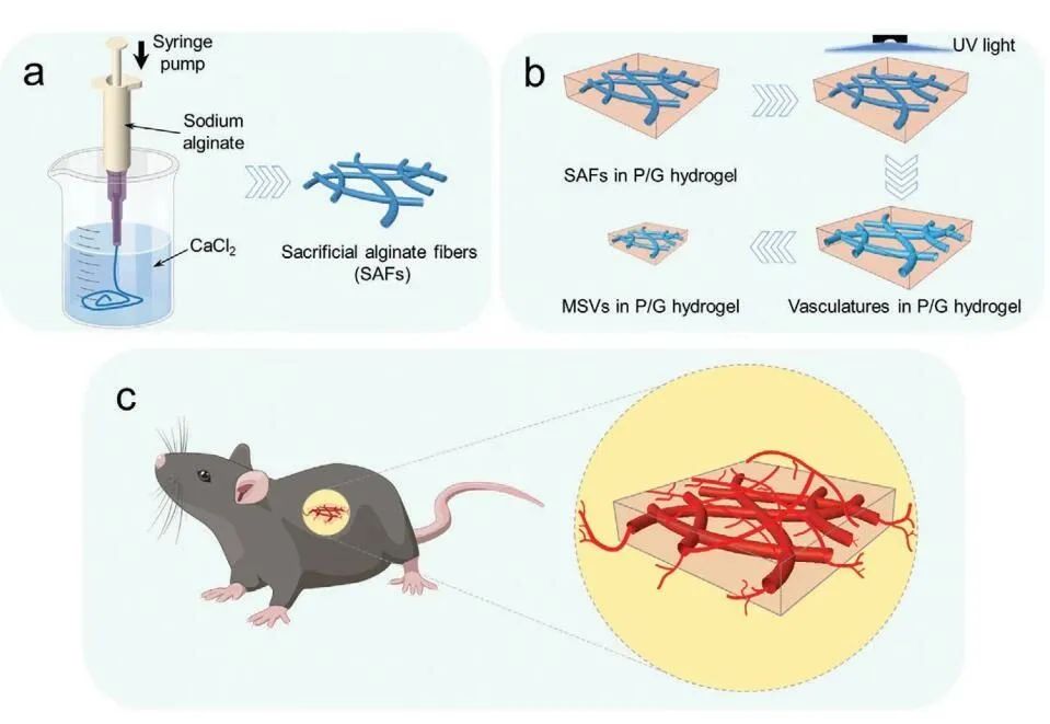 Bioprinting of Vascularized Tissues: A Comprehensive Review