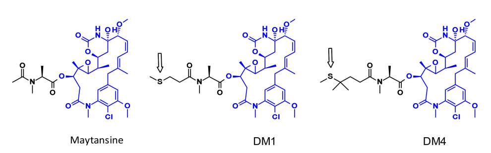 Overview of Antibody-Drug Conjugates (ADCs)