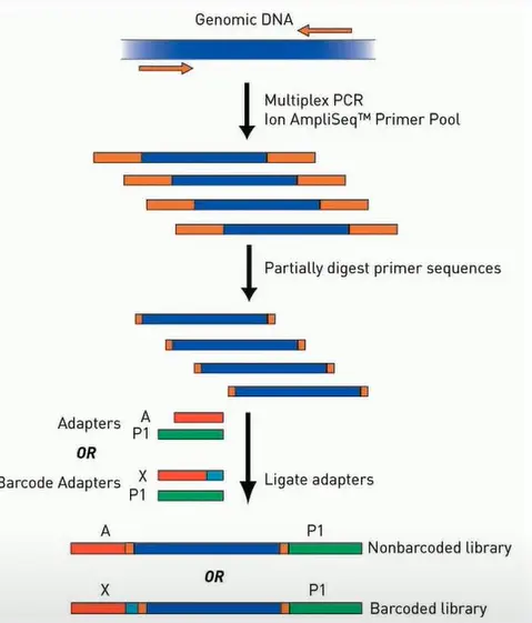 Molecular Diagnosis Technology Comprehensive Analysis Trilogy