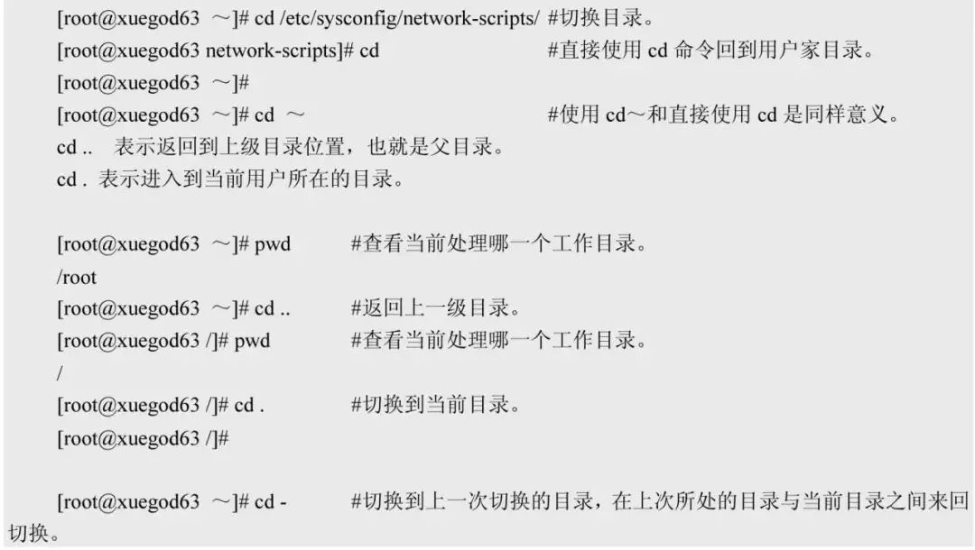 Mastering Linux Basics: Essential Commands (Part 2)