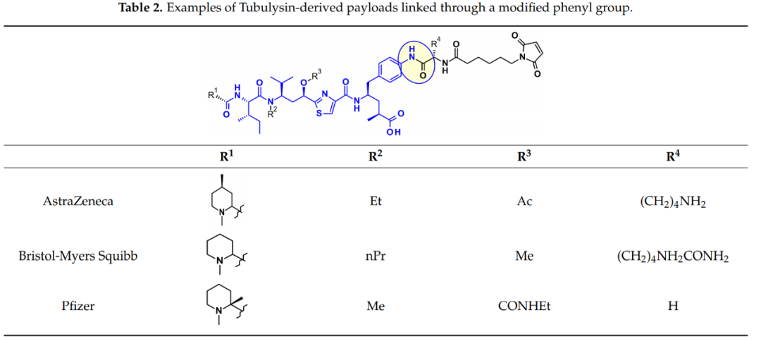 Overview of Antibody-Drug Conjugates (ADCs)