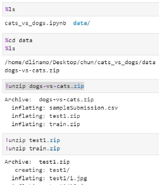 Building a Simple Cat-Dog Classifier with NVIDIA Jetson Nano