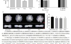 Cloning and Functional Analysis of GhMIPS1A Gene in Cotton