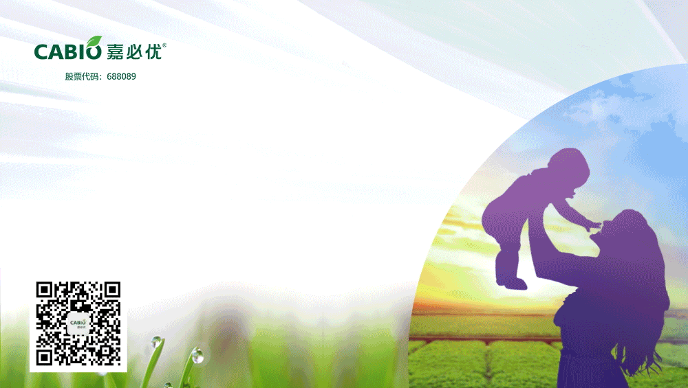 Research Progress on Soy Protein Component Preparation and Functionality