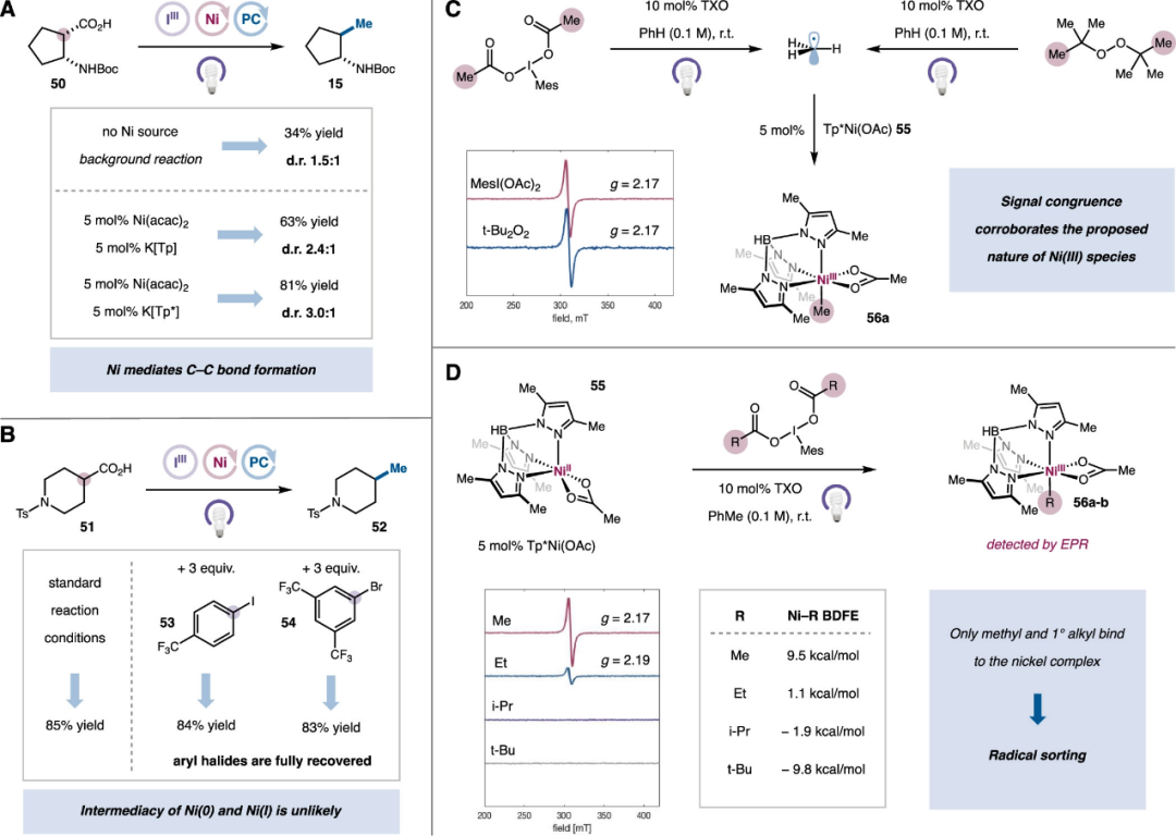 Nickel-Catalyzed Double Decarboxylative Cross-Coupling of Aliphatic Carboxylic Acids