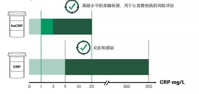Understanding the Difference Between CRP and hsCRP
