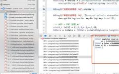 iOS Reverse Engineering - Encryption Algorithms