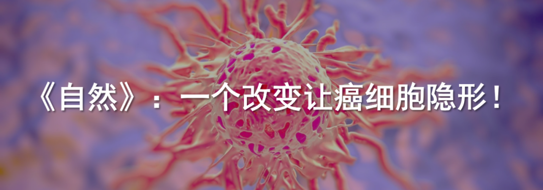 Challenging Traditional Views: Tsinghua Team Redefines Auditory Pathways