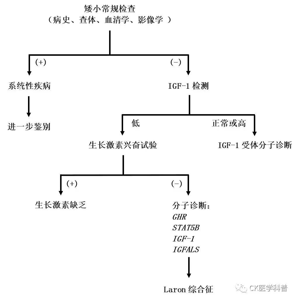 Challenges in Treating Severe Primary IGF1 Deficiency: An International Perspective